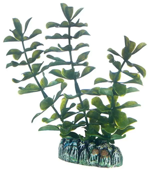 Hobby Bacopa 13 cm